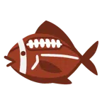 Football + Fisch