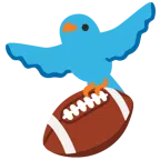 Football + Vogel