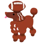 Football + Pudel