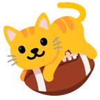 Football + Katzengesicht