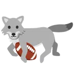 Football + Wolf