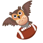 Football + Eule