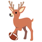 Football + Hirsch