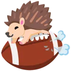 Football + Igel