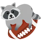Football + Waschbär