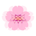 cuore che batte + fiore di ciliegio