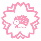 fiore bianco + riccio