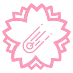 fiore bianco + cometa