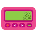 pager + kwiat hibiskusa