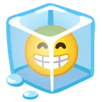 ก้อนน้ำแข็ง + ยิ้มยิงฟันตายิ้ม