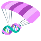 paracadute + dna