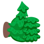 pollice in su + albero sempreverde