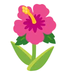 tulipano + ibisco