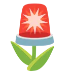 tulipano + lampeggiante