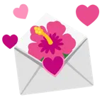 lettera d’amore + ibisco