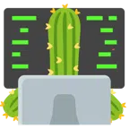 laptop + kaktus