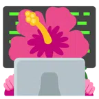 laptop + kwiat hibiskusa