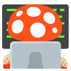 laptop + grzyb