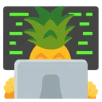 laptop + ananas