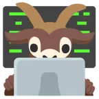 laptop + koza