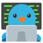 laptop + ptak