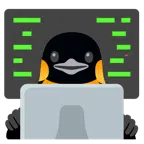 laptop + pingwin