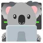 laptop + koala