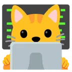 laptop + głowa kota