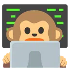 laptop + głowa małpy