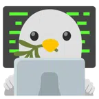 laptop + gołąb