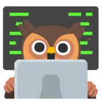 laptop + sowa