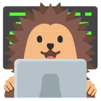 laptop + jeż