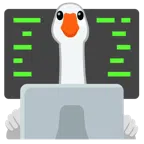 laptop + gęś