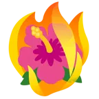 fuoco + ibisco
