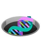 buco + dna