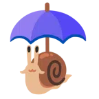 parasol + ślimak