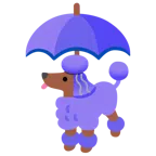 parasol + pudel