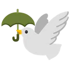 parasol + gołąb