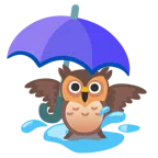 parasol + sowa