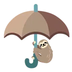 parasol + leniwiec