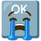 OK button + loudly crying face