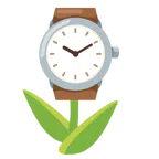 tulipano + orologio