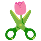 tulipano + forbici