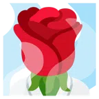 rosa + sorgenti termali