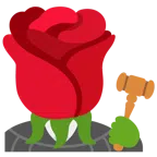 rosa + bilancia a doppio piatto