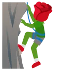 rosa + montagna
