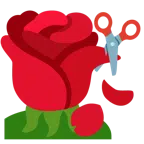 rosa + forbici