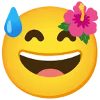 ibisco + faccina con sorriso e goccia di sudore