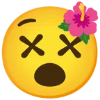 ibisco + faccina frastornata