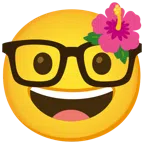ibisco + faccina nerd